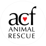 ACF Animal Rescue charity